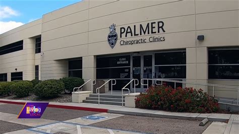 palmer chiropractic clinics moline il