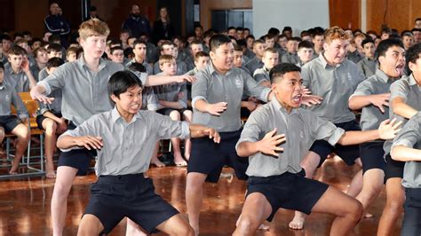 palmerston north boys' high school