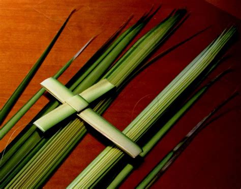 palms for palm sunday order