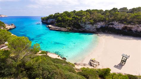Palo della spiaggia di Palma: uno scenario paradisiaco per le tue vacanze estive