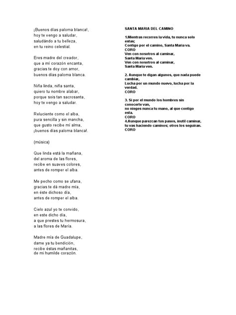 paloma blanca lyrics spanish