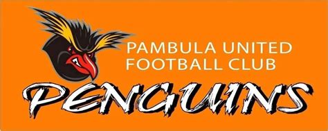 pambula united football club