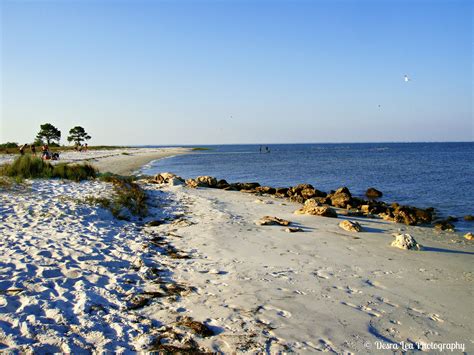 Panacea, Florida Gulf coast florida, Great places, Beach