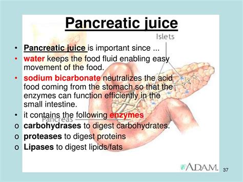 pancreatic juice definition