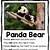 panda bear facts for preschoolers