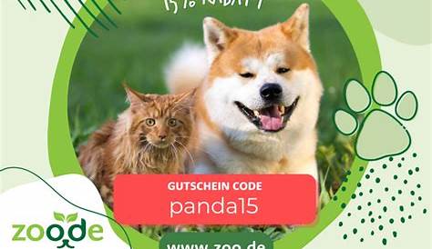 Thankyou Katzen OP Schutz - PANDA Tierversicherung - digital