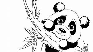 Panda Bär Ausmalbilder Zum Ausdrucken » Super Malvorlagen