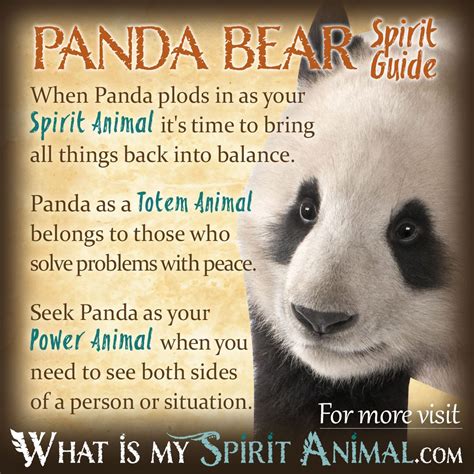 panda bear biblical meaning
