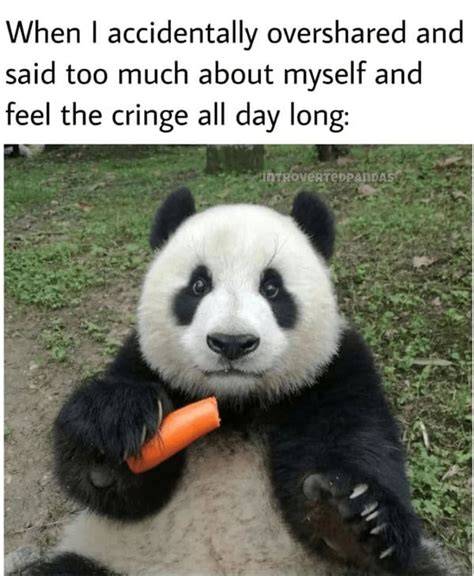 7 Hilarious Panda Memes That’ll Make You LOL King Feed Panda funny
