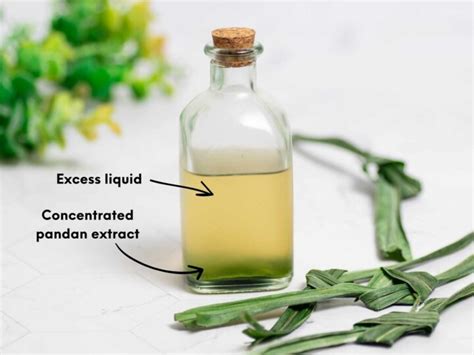 Pandan Extract Can Keep How Long