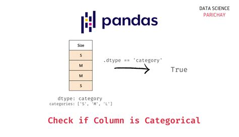 pandas check column data type