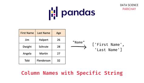 pandas create empty dataframe with same column names