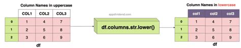 pandas dataframe convert column names to lowercase