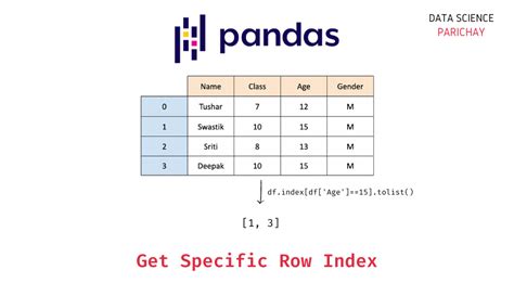pandas dataframe get value by row index and column name