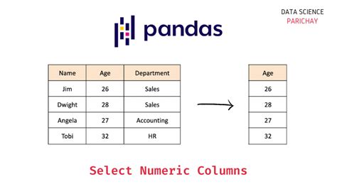 pandas dataframe set column types
