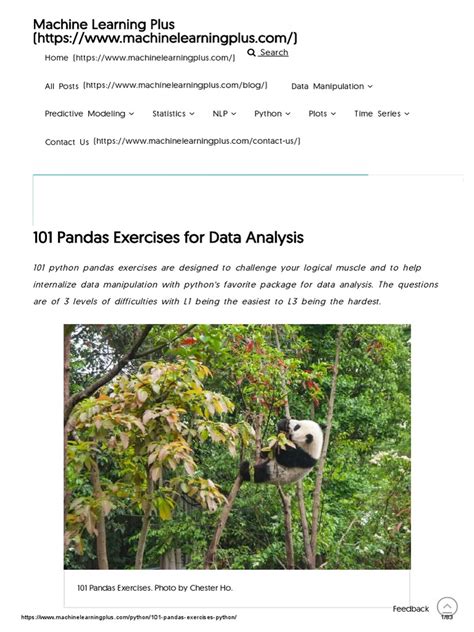 pandas exercises for data analysis