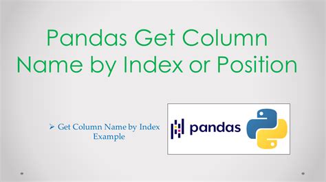 pandas get value by index and column name