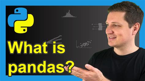 pandas meaning python