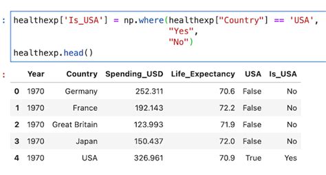 pandas set new column value based on condition