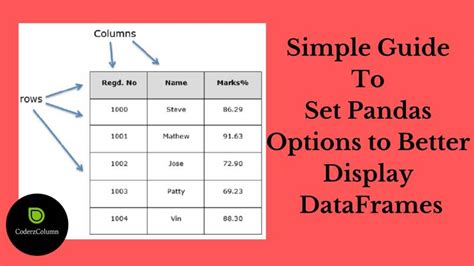 pandas set options max columns