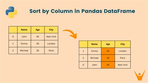 pandas sort values by column