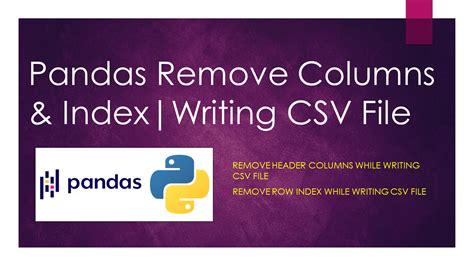 pandas to csv no header