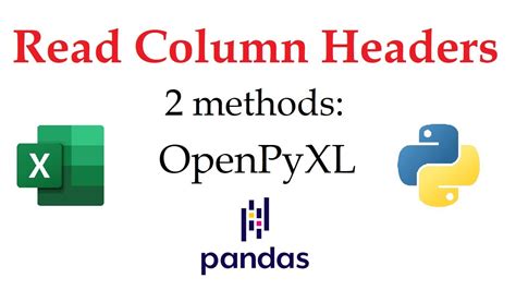 pandas to excel openpyxl