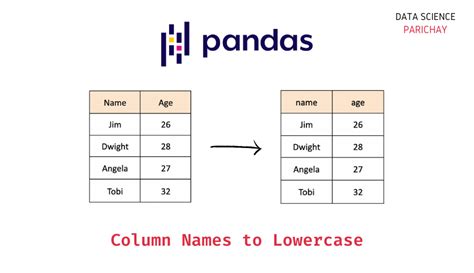 pandas to lowercase column