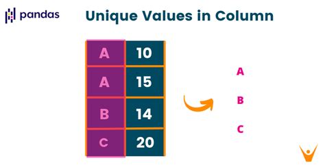 Pandas Unique Values In Column Without NaN In Python (4 Methods)