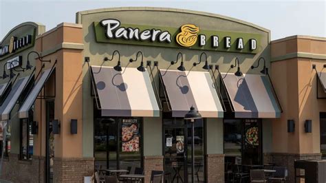 panera starting pay