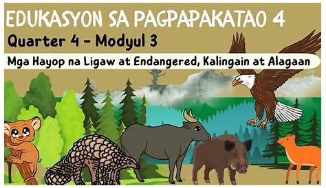 UB: Mga hayop na kabilang sa protected at endangered species, nakuha sa