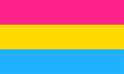 pansexual definition and symptoms flag