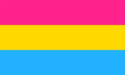 pansexual meaning and flag