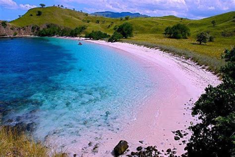 Pantai Berpasir Pink Di Lombok