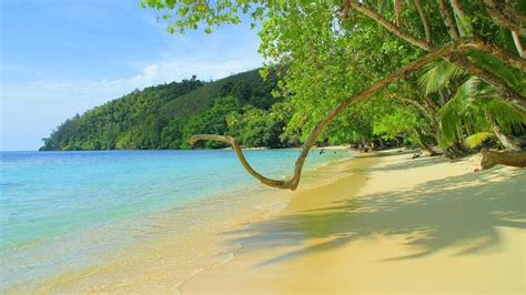 Pantai Di Papua Yang Terkenal
