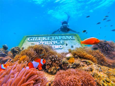 Pantai Gili Ketapang Probolinggo: Spot Wisata Berkelas Di Tahun 2023