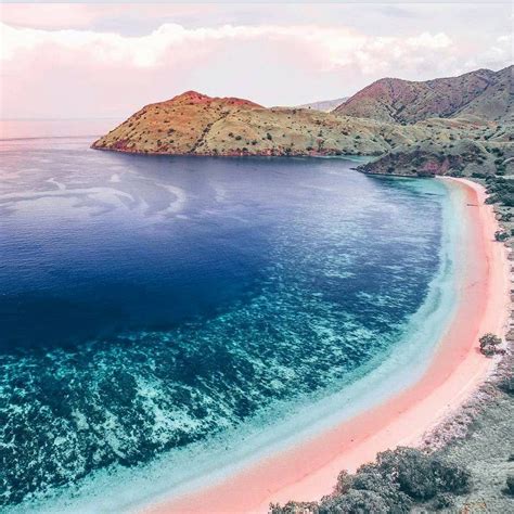 Pantai Pink Pulau Komodo