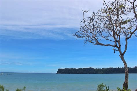 Pantai Tamban Di Malang: Keindahan Surga Tersembunyi