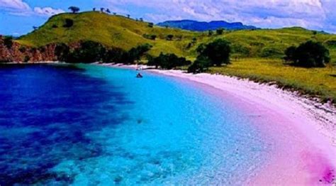 Pantai Kepulauan Nusa Tenggara