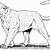 panther coloring pages for adults