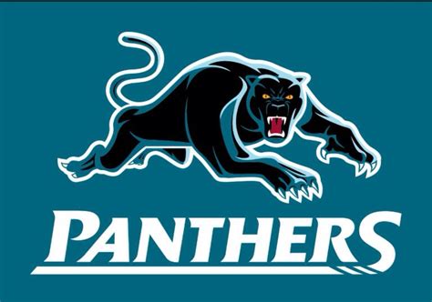 panthers colors team color
