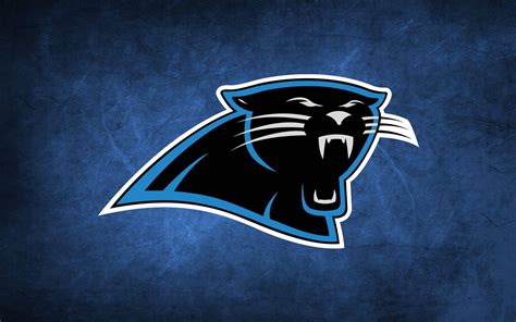 panthers nfl