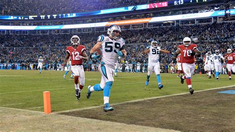 panthers vs cardinals 2015 nfc championship