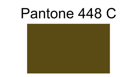 pantone 448c