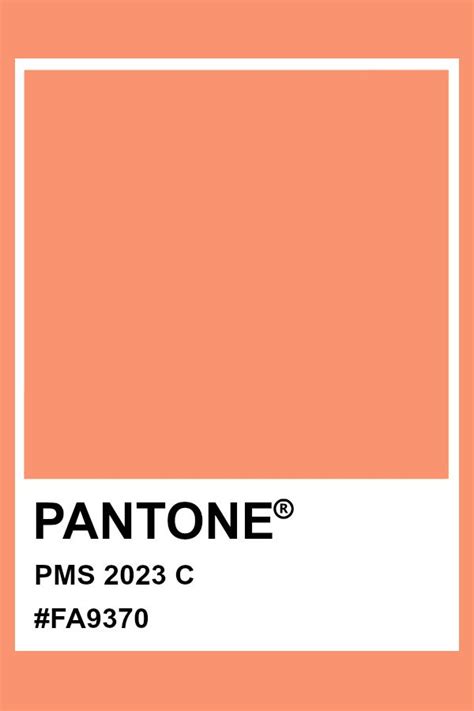 pantone color of the year 2023 hex code