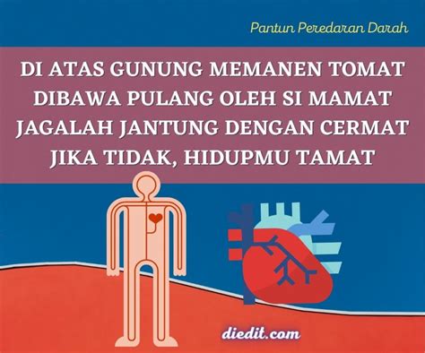 Pantun Kesehatan Peredaran Darah