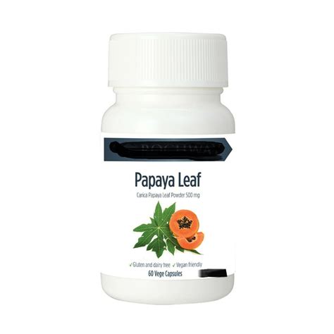 papaya extract tablet for dengue