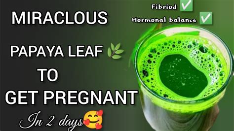 Papaya Leaf Extract While Pregnant