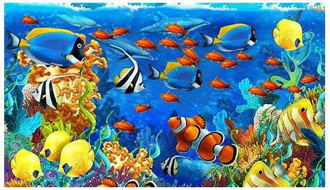 ocean_fish_wallpapers_full_hd.jpg | Animais, Fotos, Vida marinha