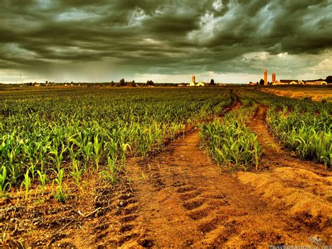 papel de parede rural